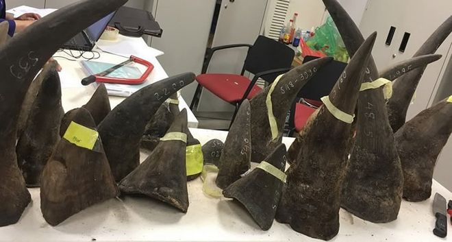 雷速体育-自行车夜战：齐鲁飞鹰队读秒扳平天山犀牛队，主帅临场妙招重拾自信的夜晚(十首最经典军歌)